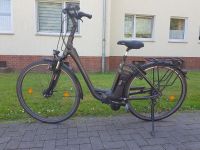 Kalkhoff E-Bike Damenrad Cityrad Fahrrad Niedersachsen - Peine Vorschau