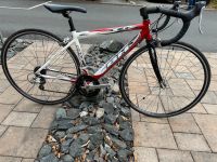 Rennrad BH leicht shimano Gr. S ca 51 zoll Dresden - Leuben Vorschau