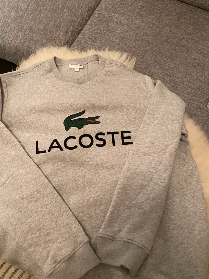 Lacoste Pullover in Dortmund