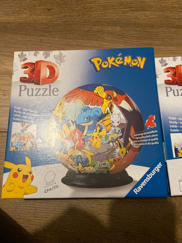 Pokémon 3 D Puzzle Set in Delbrück