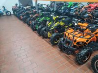 kinderquad Torino Eco mini Quad 1000W 36V Sport 6” versand gratis Rheinland-Pfalz - Bad Breisig  Vorschau