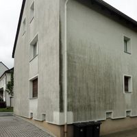 Fassadenreinigung Mauerwerk Reinigung Imprägnierung Nordrhein-Westfalen - Castrop-Rauxel Vorschau
