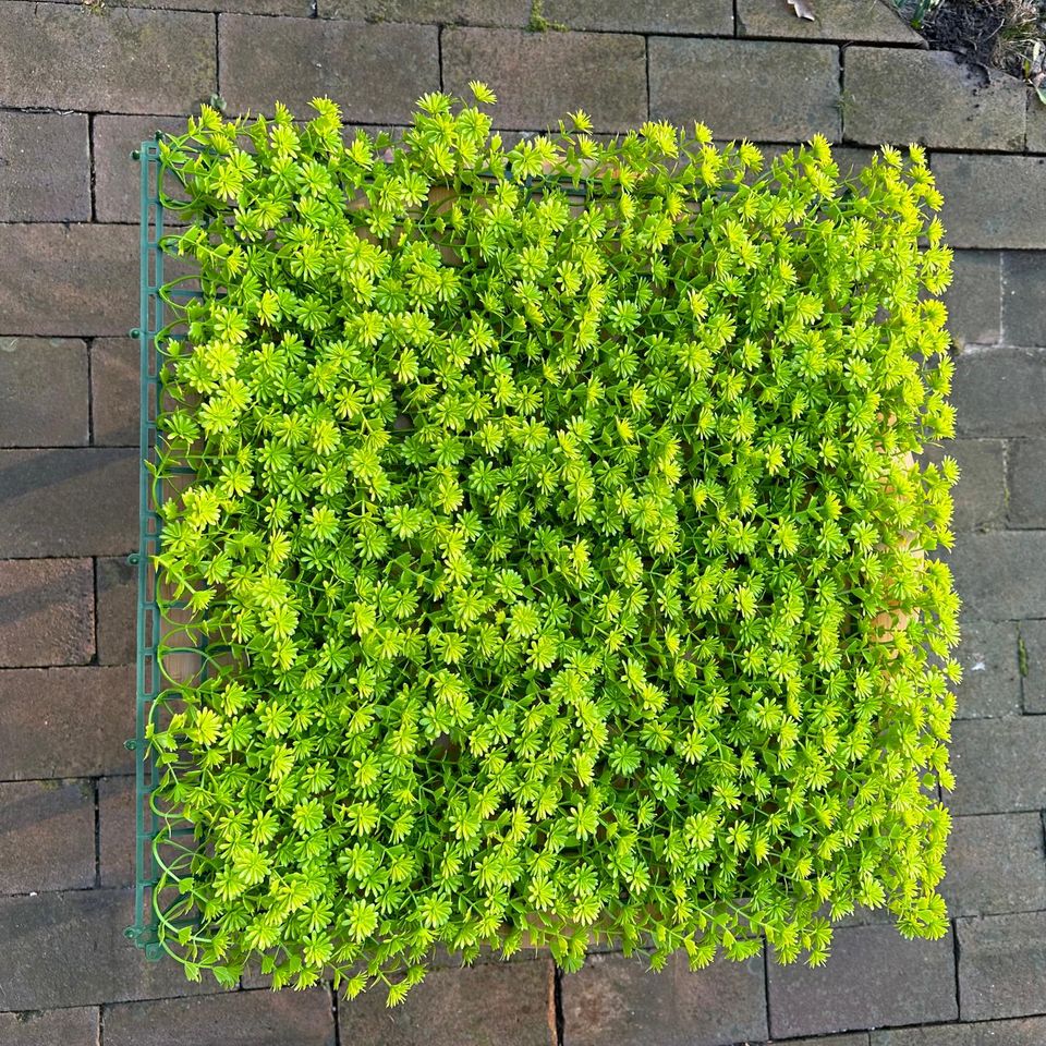 Pflanzenwand Moos Blätter Grün Weiß/ Gastro Wandmontage künstlich in Berlin