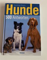 Hundebuch Hunde - 500 Antworten von Caroline Davis Sachsen - Hohenstein-Ernstthal Vorschau