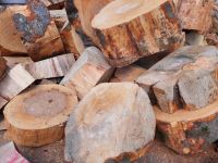 Brennholz, Holz, Kaminholz, Stammholz Baden-Württemberg - Gschwend Vorschau