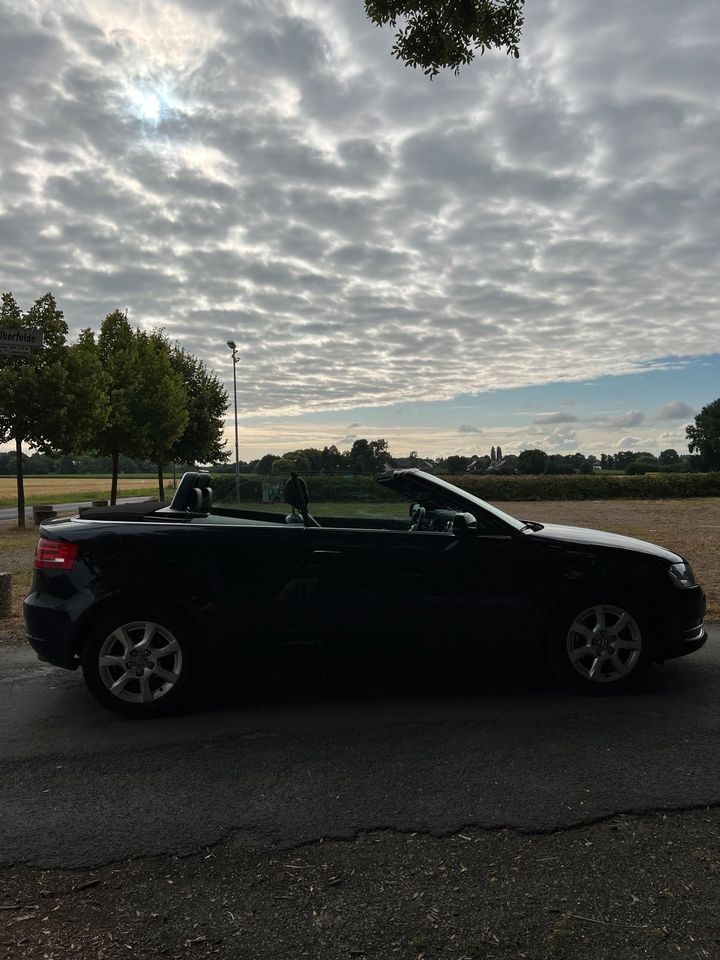 Audi A3 Cabrio in Lünen