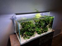 Oase Scaperline 180 Liter Aquascape Komplettpaket Nordrhein-Westfalen - Dorsten Vorschau