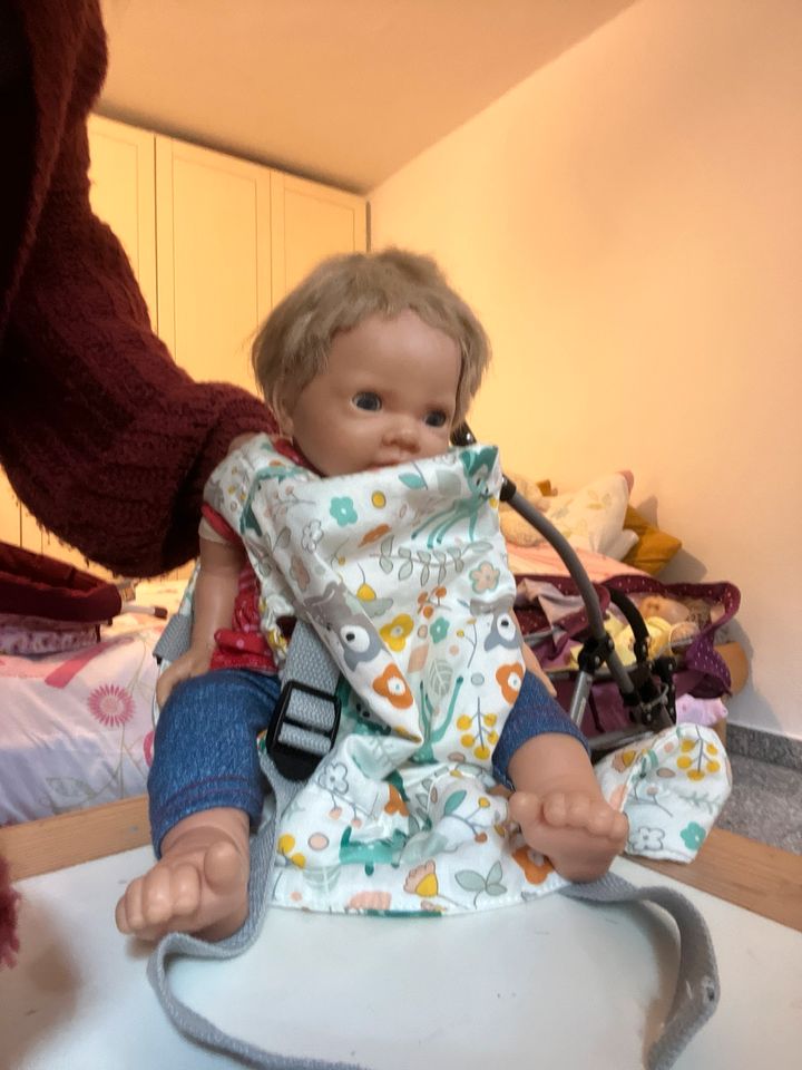 Dolls pram, high hair and baby carrier in Oberursel (Taunus)