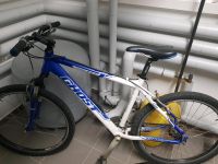 Damen Mountain Bike Ghost Thousand Bayern - Albaching Vorschau
