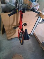 Giant ARX 16 Zoll Kinderfahrrad Nordrhein-Westfalen - Sundern (Sauerland) Vorschau