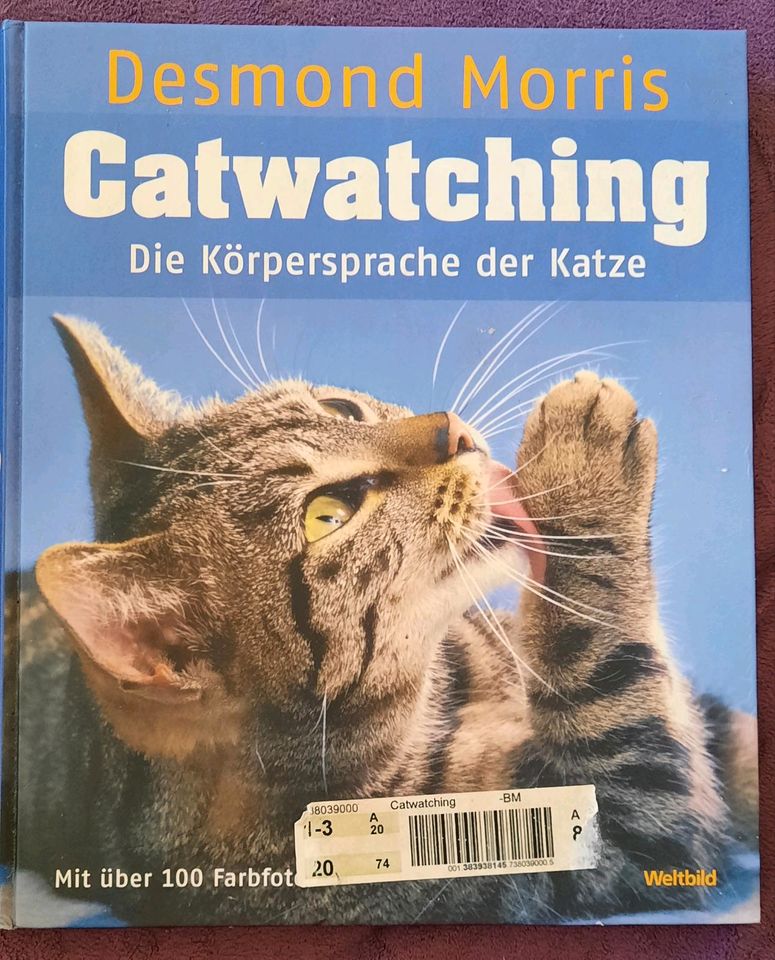 2 Bücher über Katzen in Bad Schandau