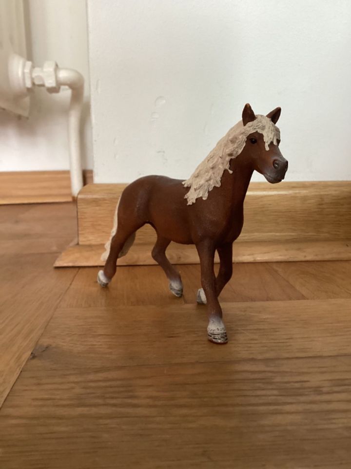 Schleich Haflinger Hengst in Braunschweig