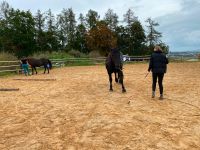 Natural Horsemanship Einsteigerkurse Hessen - Wetzlar Vorschau