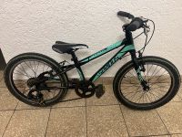 Kinderfahrrad Mountainbike Serious 20 Zoll voll funktionsfähig Stuttgart - Bad Cannstatt Vorschau