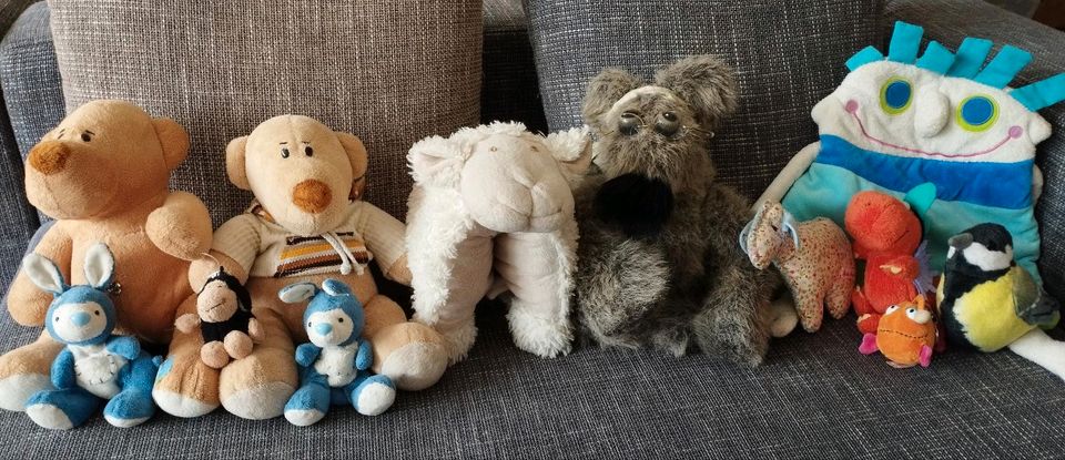 Plüschtier suchen ein neues Zuhause - Teddy, Känguru, Kokosnuss in Berlin