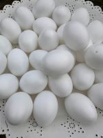 Konvolut*40 Plastik-Eier weiß mit Loch 60 x 45 mm FesteQualität Niedersachsen - Lauenau Vorschau