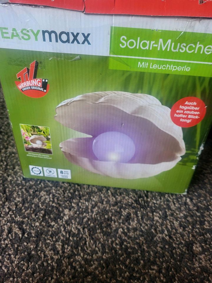 Solar Muschel in Nidda