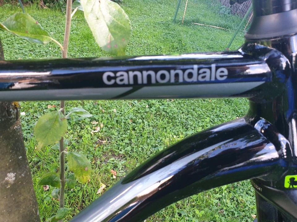 Cannondale Trail 3 29" matte black  Mountainbike in Montabaur