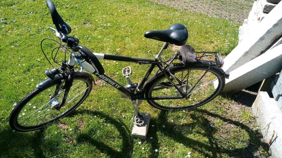 Herren Fahrrad in Rauhenebrach