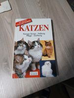 Katzenbuch Essen - Steele Vorschau