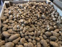 Kartoffeln, Futterkartoffeln, Abfallkartoffeln,Kühe,Schweine, Nordrhein-Westfalen - Werl Vorschau