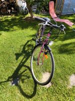 Damenfahrrad 28 Zoll Baden-Württemberg - Großbettlingen Vorschau