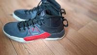 Tarmak Basketballschuhe  Protect 100 Gr. 42 grau Sachsen - Pirna Vorschau