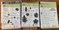 Stampin up Jahr voller Farben, Botanical Blooms, Donnerwetter Hessen - Eschenburg Vorschau