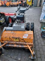 Motormäher Reform Cutter 100 Mulchmäher  Agria Taifun Motormulcher Böschungsmulcher Böschungsmäher Seitenmulcher Mähausleger Bucher Irus Balkenmäher Hydrostat Mähraupe Rheinland-Pfalz - Selters Vorschau