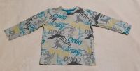 Dino Langarmshirt 110 neuwertig Rheinland-Pfalz - Bendorf Vorschau