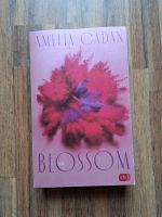 Buch NEU „Blossom“ von Amelia Cadan Bayern - Ustersbach Vorschau