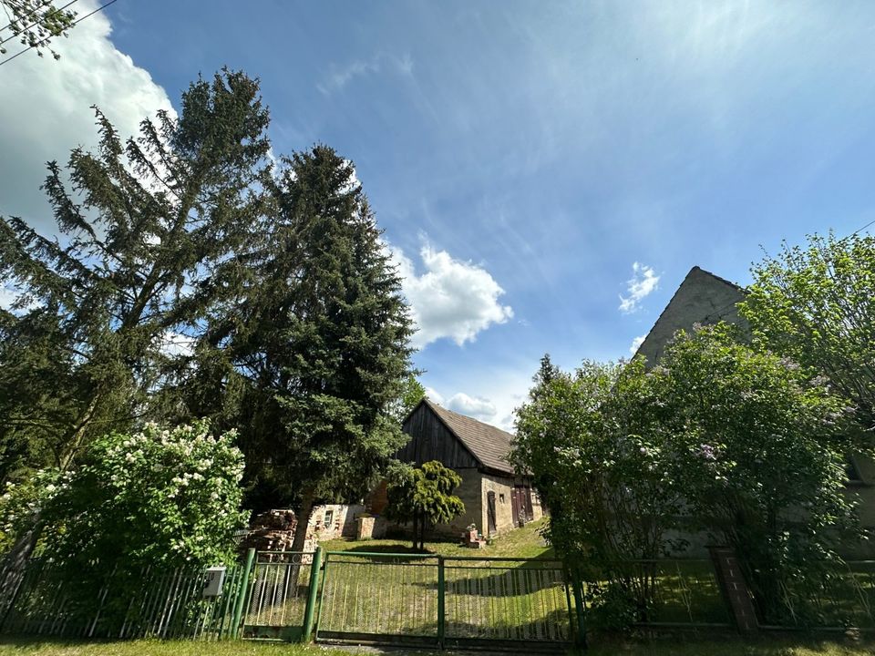 Bauernhaus im Spreewald mit großem Grundstück und einer Scheune zu verkaufen! in Byhleguhre-Byhlen