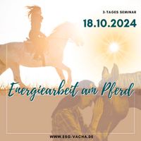 Energiearbeit am Pferd, Wochenendseminar Bayern - Bamberg Vorschau