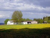 Offenstall Offenstallplatz  Einstellplatz für Pferde Bayern - Duggendorf Vorschau