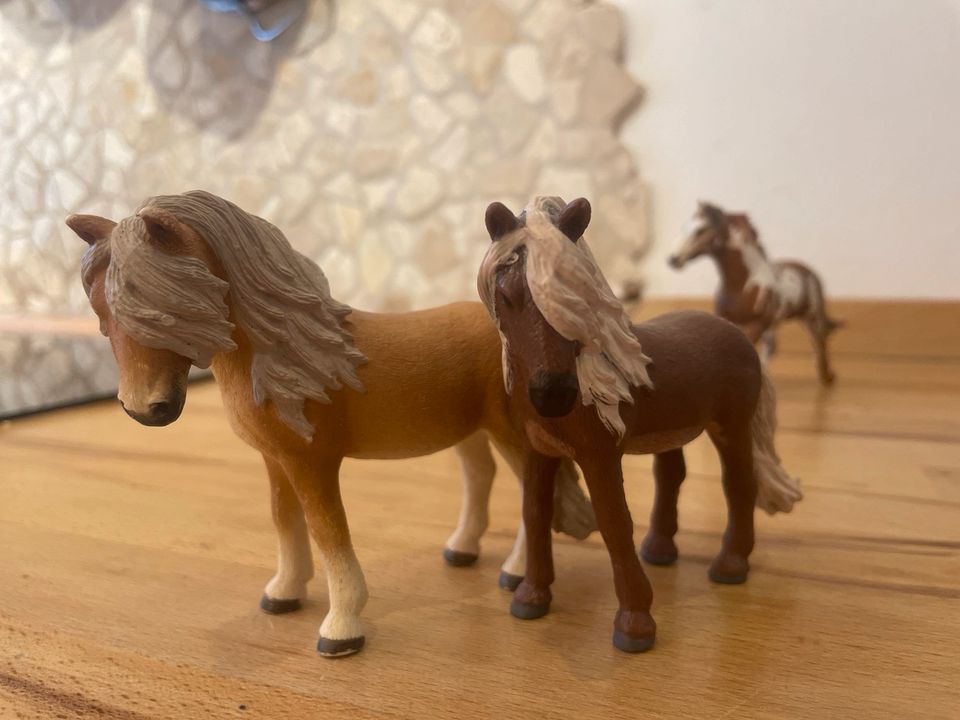 Riesige Schleich Pferde Sammlung original mit Decken in Köln