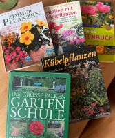 Pflanzen Bücher Gartengestaltung Sachsen - Grimma Vorschau