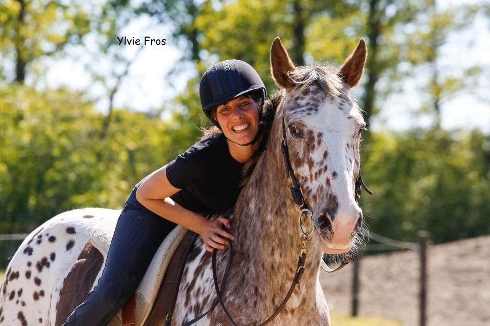 Wochenendkurs mit Ylvie Fros | Akademische Reitkunst & CDR in Heidesee