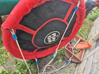 Nest schaukel Baden-Württemberg - Bad Rappenau Vorschau