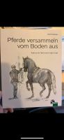 Pferde versammeln vom Boden aus Buch Hessen - Lich Vorschau