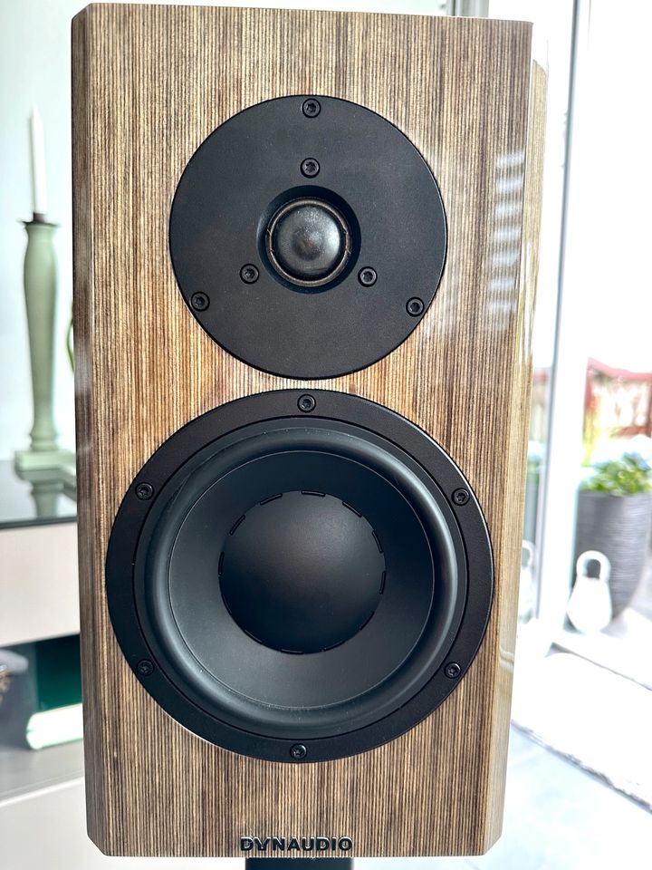 Dynaudio Special 40 grey in Frankfurt am Main