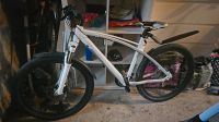 Mercedes Benz Mountainbike Pankow - Prenzlauer Berg Vorschau