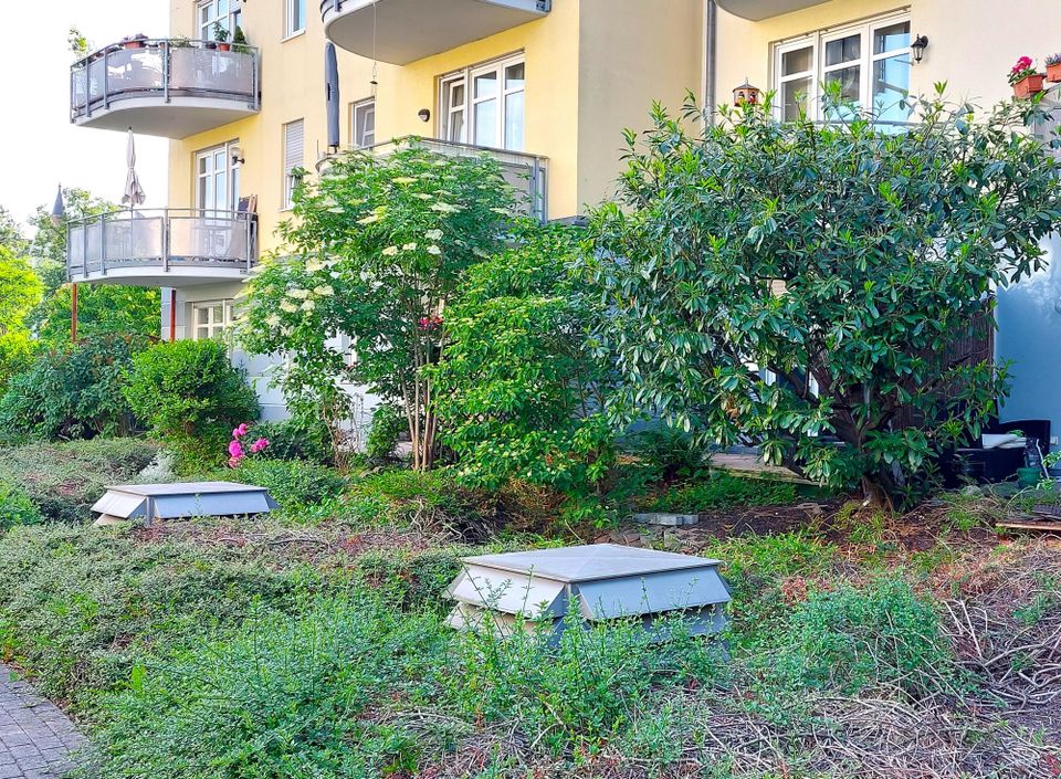 Wunderschöne & sonnige Terrassenwohnung mit viel Grün in Striesen! in Dresden