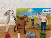 Schleich Arztbesuch bei Stute und Fohlen 42486 Baden-Württemberg - Bruchsal Vorschau