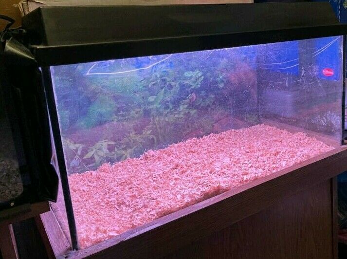 2 verschiedene Aquarien in Essen