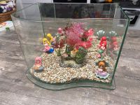 Palm Aquarium, Azoo Choppy Nano Designer München - Pasing-Obermenzing Vorschau