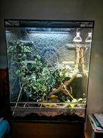 Terrarium mit Unterschrank Rheinland-Pfalz - Bodenheim Vorschau