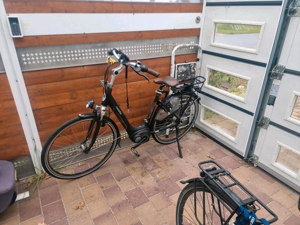 E Bike Damen Gazelle C7 in Bad Bramstedt