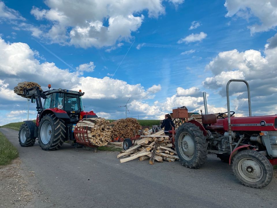 Brennholz,Kaminholz,Laubmischholz Waldfrisch in Beltheim