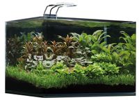 Nano Aquarium Dennerle Scapers Tank 35l ; 55l; 70l White Glass Dortmund - Westerfilde Vorschau