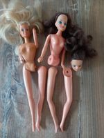 Puppe Kopf Körper Beine Petra Basteln Kunst Deko nicht Barbie Sachsen - Kohren-Sahlis Vorschau